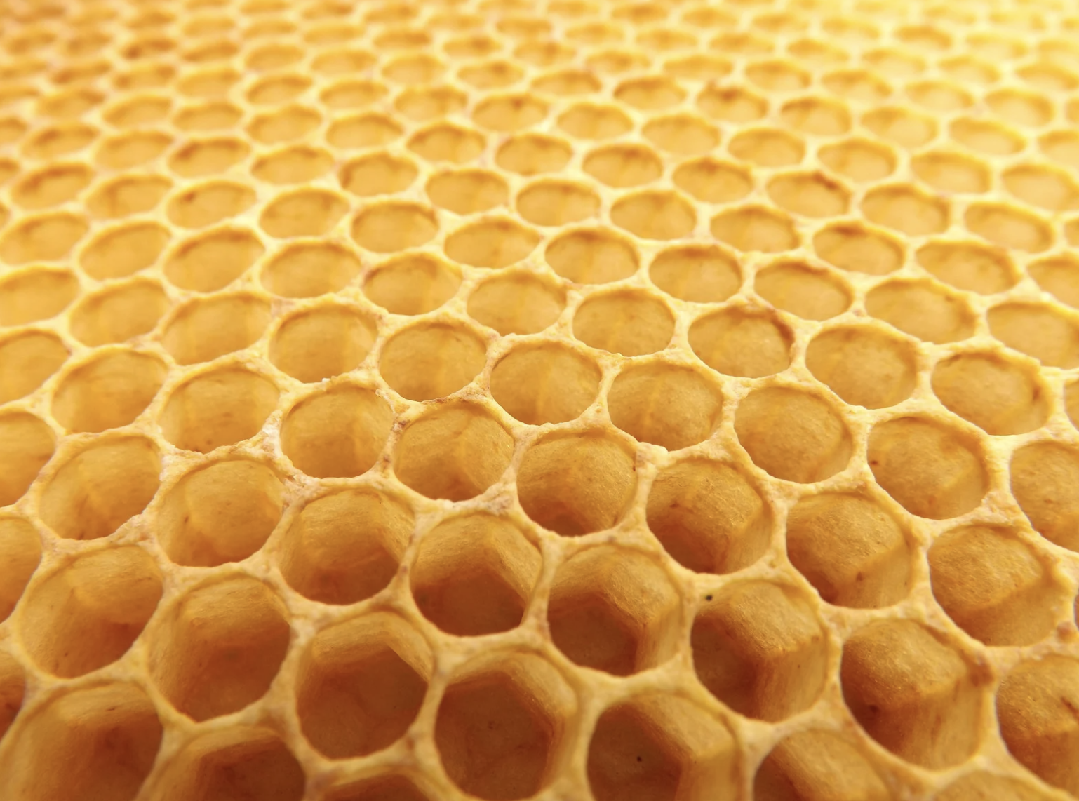 Croisillon carton : optimiser le calage de vos produits